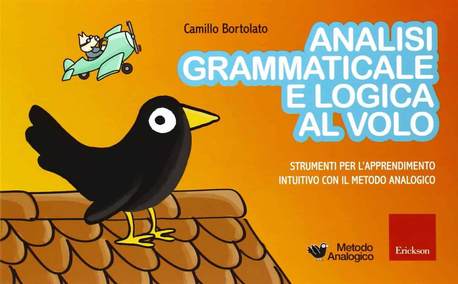 La linea del 100. Metodo analogico per l'apprendimento della matematica.  Con strumento - Camillo Bortolato - Libro - Erickson - Metodo analogico